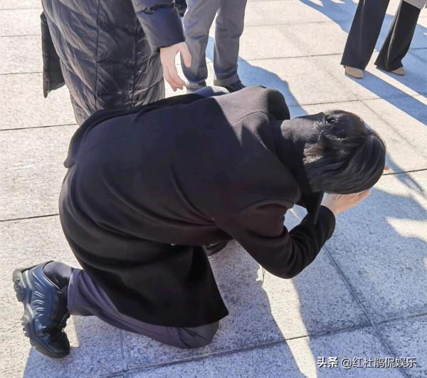 參加文代會的3位央視主持人康輝任魯豫朱迅，都根正苗紅不辱使命