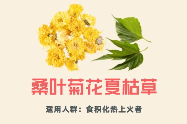 失眠不寐，腸胃不振，廣東藥膳湯讓你睡得香，消食解膩