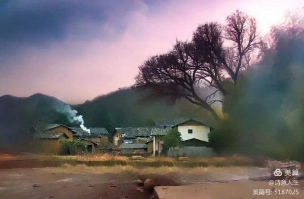 匆匆回首又一年