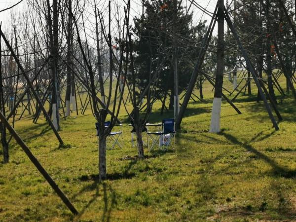 東郊新晉網紅公園，和灞河東路一起稱霸朋友圈