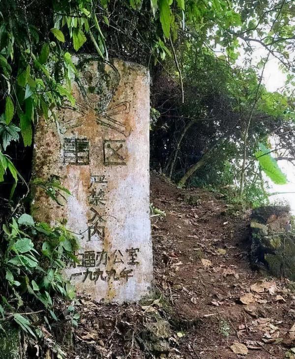 排雷英雄杜富平，和平年代立下一等功，如今政府贍養他終生