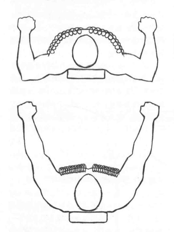 乾貨 | 臥推的常見問題——胸部