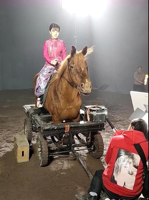 《當家主母》虐貓？這些影視劇的動物們也很慘，有些甚至立過功