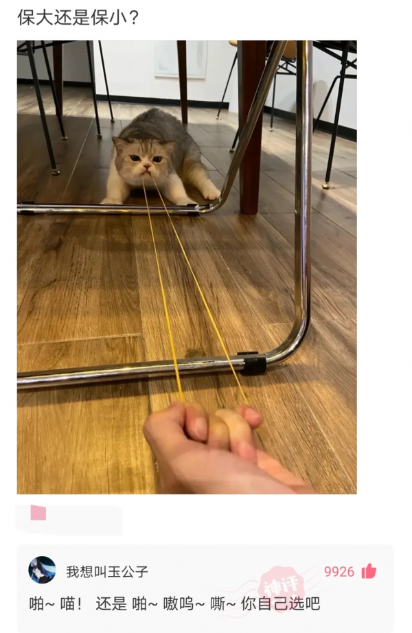 神回覆：算命先生給我改的名字，現在每天被打十次，三十歲還單身