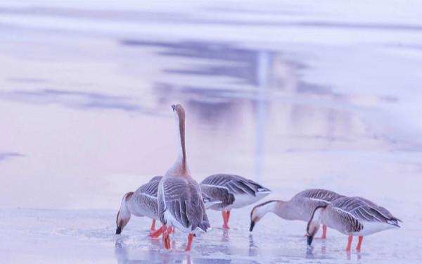 &OpenCurlyDoubleQuote;自律性&rdquo;特別強的星座，和他們生活在一起，再懶的人也會勤快