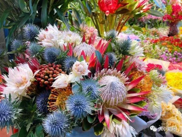 京城八大寶藏花市裡,藏著孩子最愛的植物園和水族館,冬日逛起來 京城八大寶藏花市裡,藏著孩子最愛的植物園和水族館,冬日逛起來