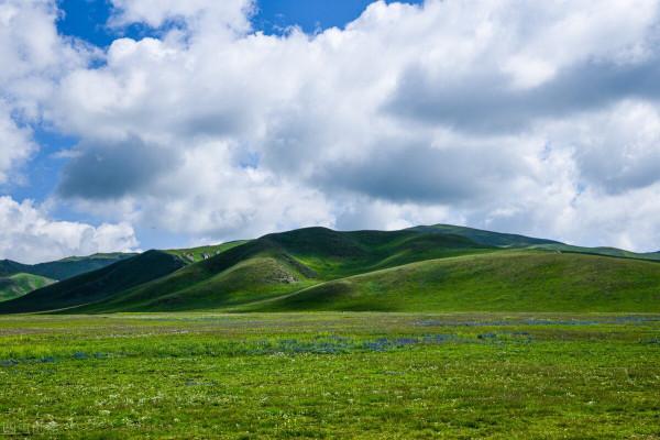 分享圖片～草原
