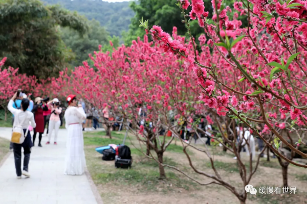 2022壬寅年，立春