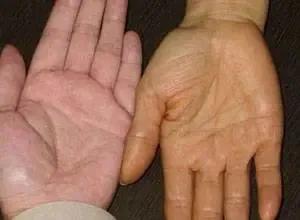 過年了砂糖橘成了最愛，但是吃多了會變成小黃人……