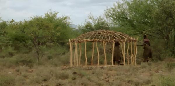 非洲原始部落:這群人結婚彩禮要給20頭牛加20只羊,你覺得多嗎? 非洲原始部落:這群人結婚彩禮要給20頭牛加20只羊,你覺得多嗎?