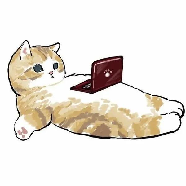 太萌了，治癒系萌貓頭像，趕緊儲存帶走她