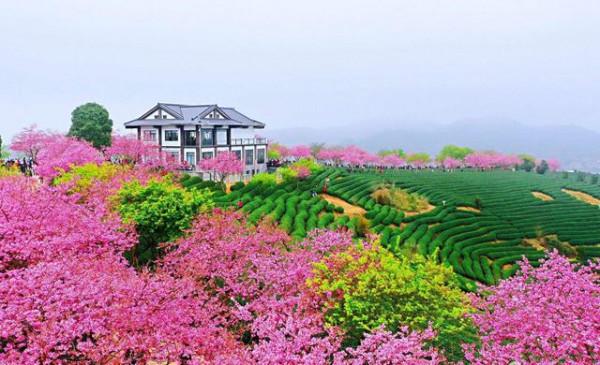 2月份國內最精美的旅行地，有這5個足夠了，景美人少溫度適宜
