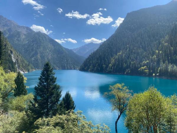 固定認知陷阱 固定認知陷阱