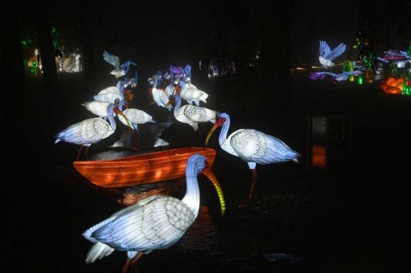 法國舉辦花燈節 中國風燈籠亮麗多彩 法國舉辦花燈節 中國風燈籠亮麗多彩