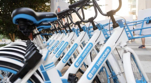 ofo、摩拜相繼退場，哈囉楊磊守得住寂寞，逆襲成為阿里的寵兒