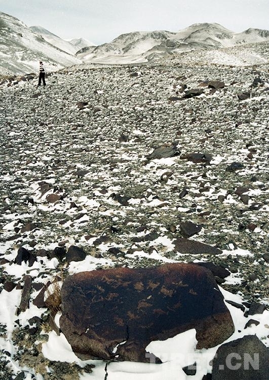 留在心中的歌:藏北無人區真的無人嗎? 留在心中的歌:藏北無人區真的無人嗎?
