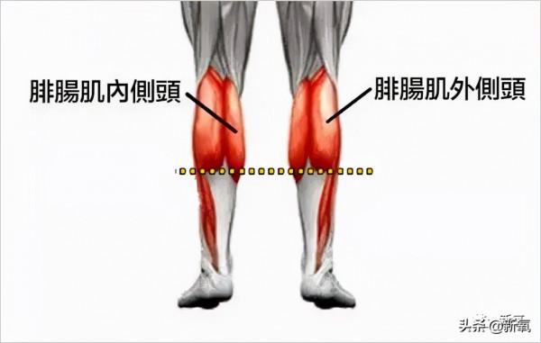 第一次聽說走路也能吸粉? 第一次聽說走路也能吸粉?