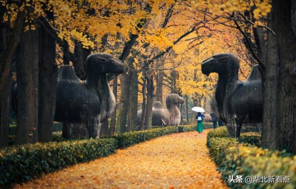 秋天最美的7大城市