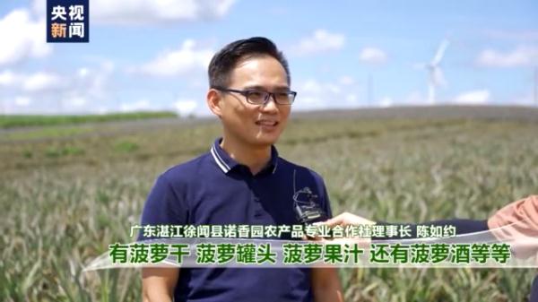 愛吃菠蘿的你不要錯過！打卡中國大陸最南端：“大陸之角”有片“菠蘿的海”