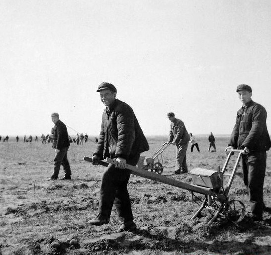 安徽老漢異鄉餵馬8年,直到中央派專車請走,村民才知其身份不簡單