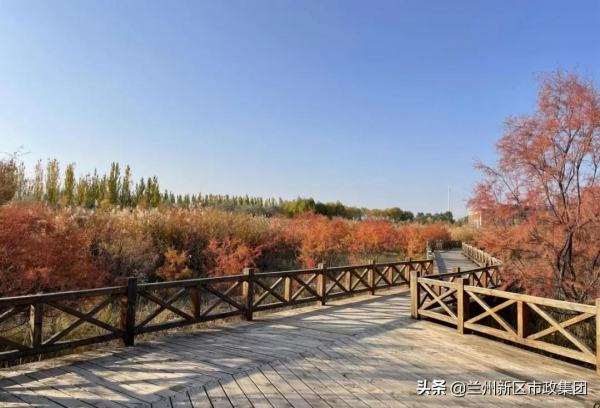 醉美秦王川，秋景如詩如畫