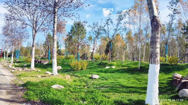 延慶再添“城市綠肺”~康西森林溼地公園“上線”