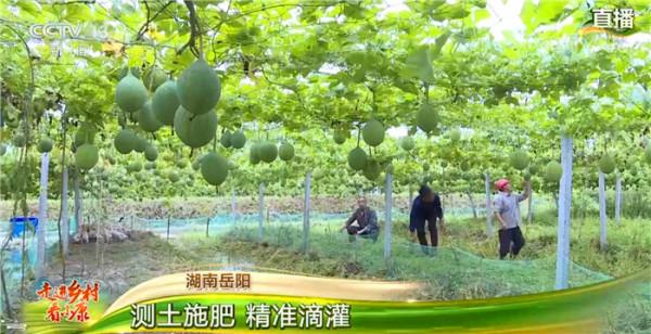 走進鄉村看小康 走進鄉村看小康