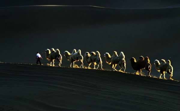國內夏秋風光美景
