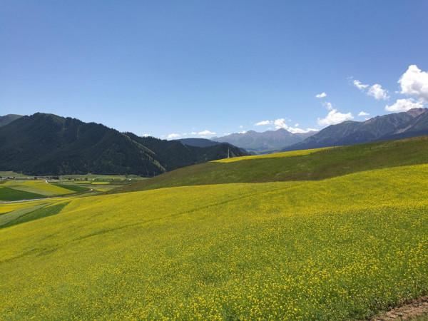 青海湖，祁連山，扎尕那，一車老兩口，西北自駕遊。之五：祁連2