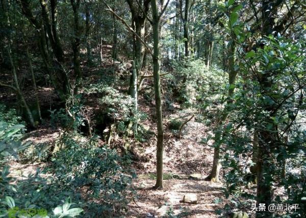 重慶市大足區趙萬莛墓，8位高階摸金校尉在這裡領到畢業證書