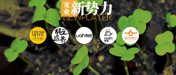 這 5 家寵物初創品牌中，有一家來自賓士造車跨界團隊 | 新勢力專欄