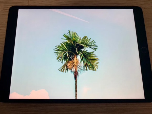 iPad Pro 10&period;5寸&mdash;&mdash;最後一款非全面屏細邊框iPad