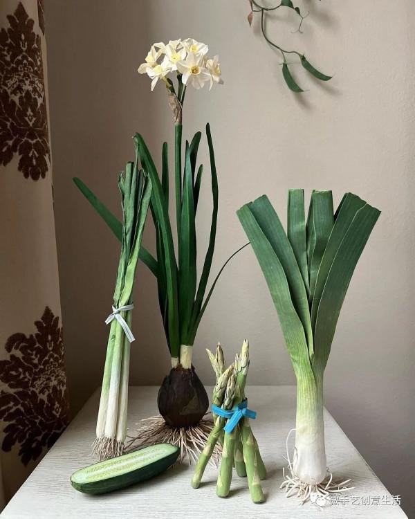 美國姑娘用紙還原了整個植物世界，逼真的讓人傻傻分不清