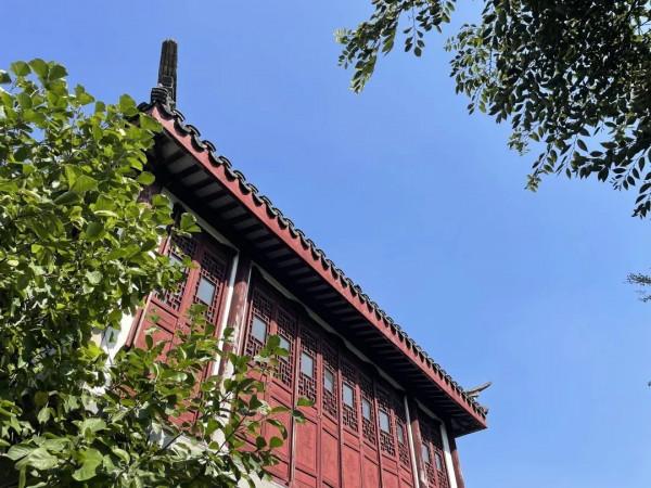 抓住最後一抹秋，去探尋專屬浦江的秋日限定吧