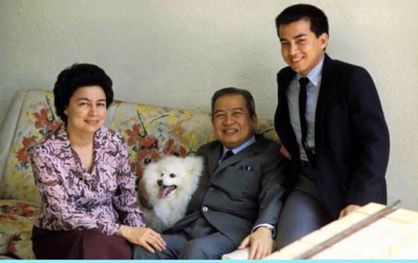 西哈莫尼國王從小就相貌漂亮，他是最英俊的國王，沒有之一