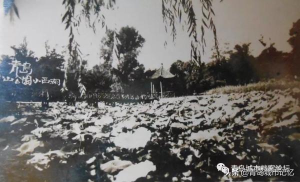 中山公園小西湖，你還記得她曾經的模樣嗎？