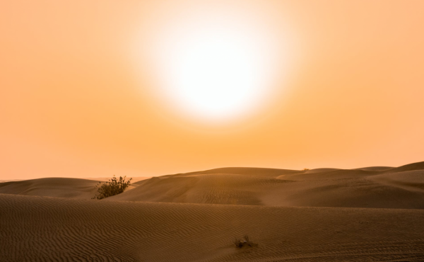 拒絕將就,有講究的星座,野心很大,如同狡猾狐狸,並非池中之物 拒絕將就,有講究的星座,野心很大,如同狡猾狐狸,並非池中之物