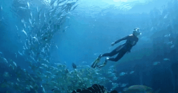 為何人類只探索了5%的海洋?人類在深海中,都發現了什麼? 為何人類只探索了5%的海洋?人類在深海中,都發現了什麼?