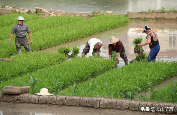 有人說:“荒田無人耕,一耕有人爭”,你怎麼看農村的這種現象? 有人說:“荒田無人耕,一耕有人爭”,你怎麼看農村的這種現象?