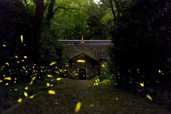 一入秋，南京就成了金陵