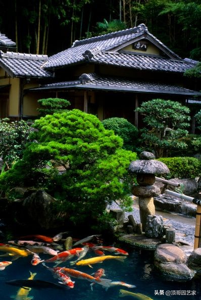 庭院魚池是規則式好還是自然式好