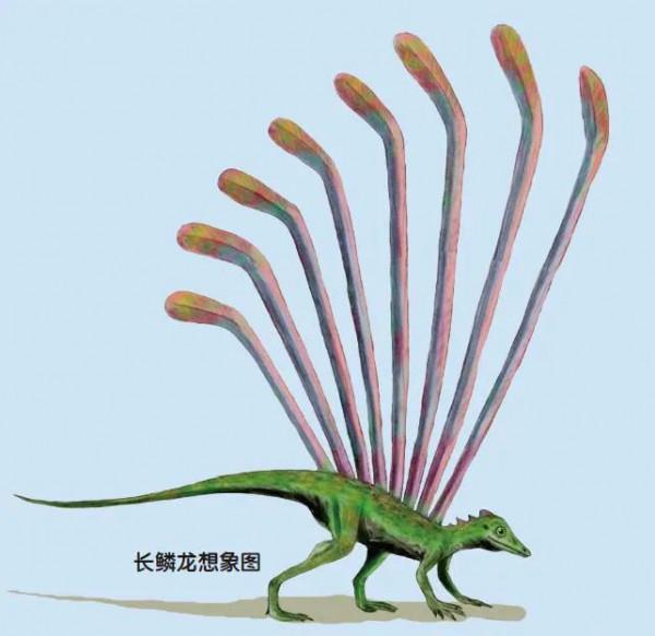 爬行動物努力了千萬年的飛天夢