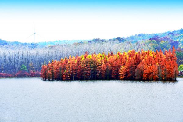 一見南京誤終身!忽然,想去金陵了 一見南京誤終身!忽然,想去金陵了