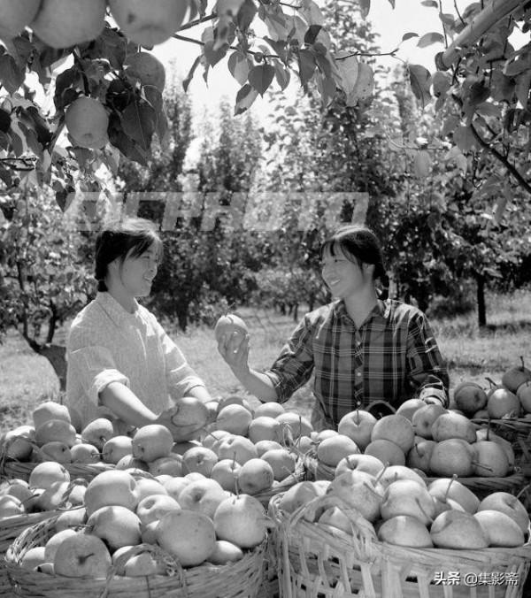 泰州興化市六十至八十年代老照片