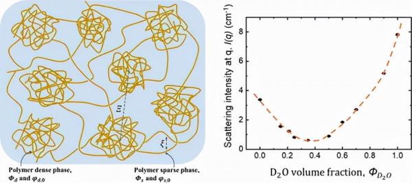 華南理工大學：具有動態 H 鍵的堅韌水凝膠：結構異質性和機械效能
