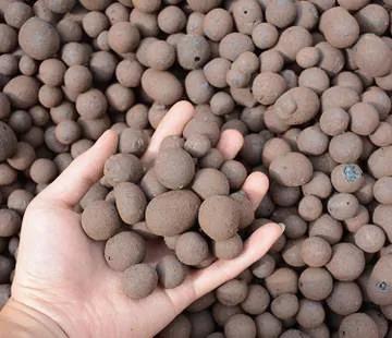 冬至後,盆裡添3樣“硬石頭”,讓花變得更抗寒,土壤也不板結 冬至後,盆裡添3樣“硬石頭”,讓花變得更抗寒,土壤也不板結