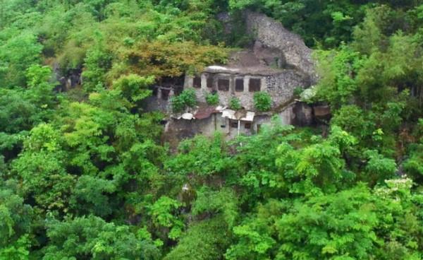 80歲老人墓穴生活實紀：在山上種地養蜂，生活悠然自得