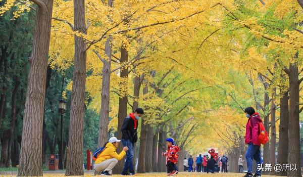 古都最美的秋色 都在這些地標 北京城裡的秋色地圖 古都最美的秋色 都在這些地標 北京城裡的秋色地圖