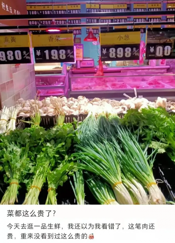 國內菜價漲幅超50%？英國油荒，北美斷貨，今冬不好過！