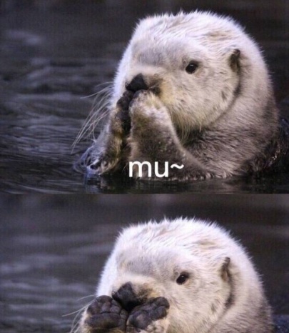 動物的迷之可愛習性，企鵝認人做&OpenCurlyDoubleQuote;大哥&rdquo;，小熊貓的威嚇認真的？